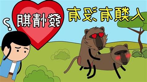 人類會發情嗎