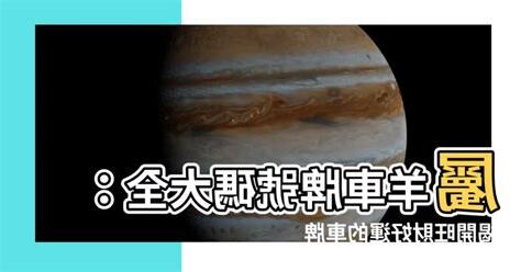 屬羊車牌號碼