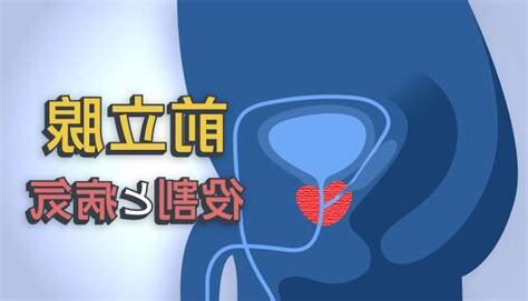 陰阜突出