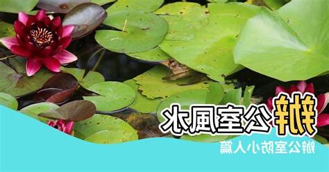 辦公桌防小人