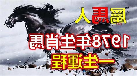 1978馬