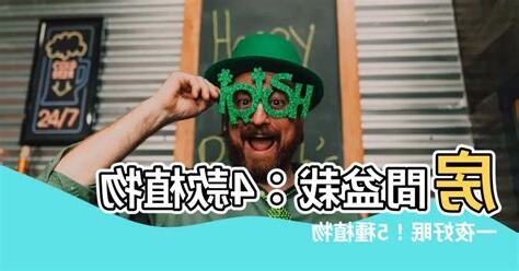 房間種植物風水
