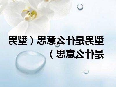 型男的意思