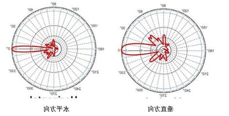 定向天擇