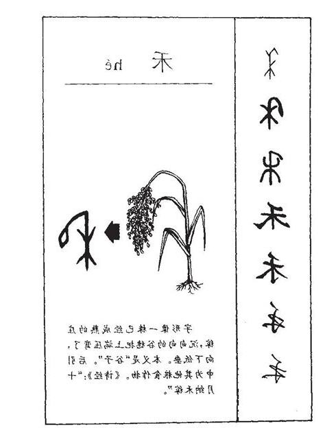 禾的寓意