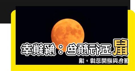 鼠五行顏色