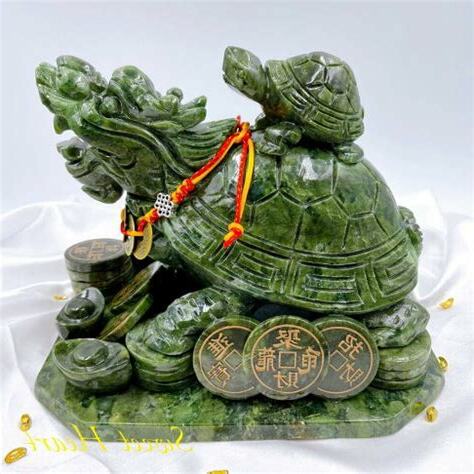 帶子龍龜