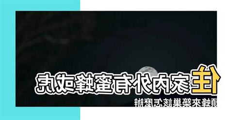 住家有蜂窩