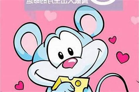 71生肖