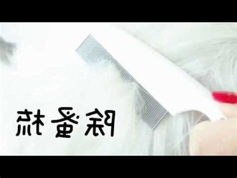 蚤梳使用方法