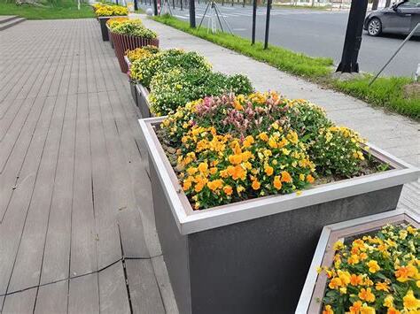 室外花