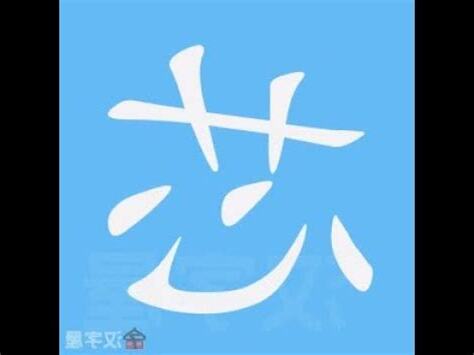 芯筆畫五行