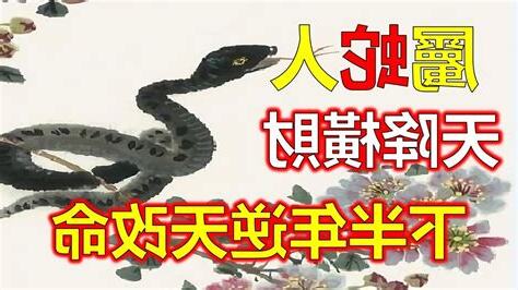 家裡來蛇