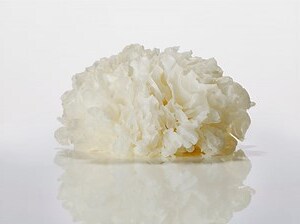 白玉功效