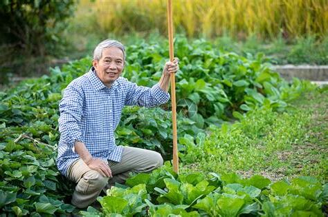 種菜人