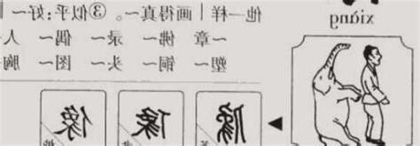 像和象的用法