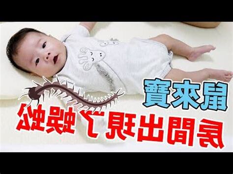 房間出現蜈蚣