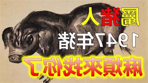 1947年生肖豬
