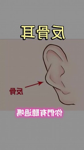 耳朵相