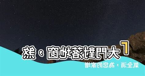 大門對落地窗