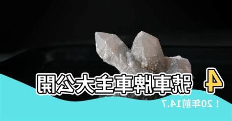 4號車牌車主