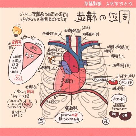 心底位置