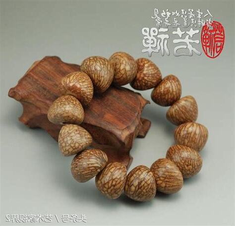 菩提子種類