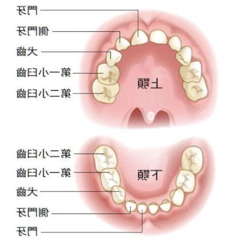 牙齒拔掉