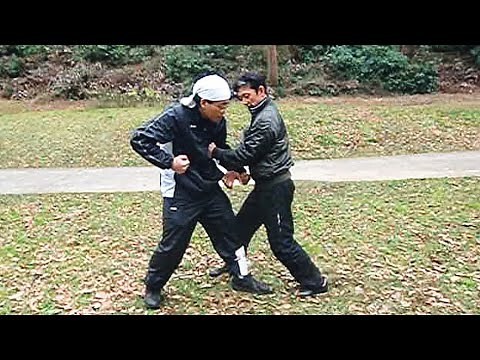 肖鼠六合