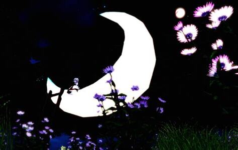 鏡中花水中月