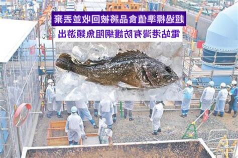 食神輻射魚