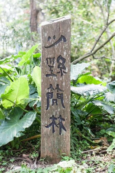 心經簡林鬼故