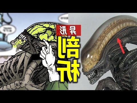 異類意思