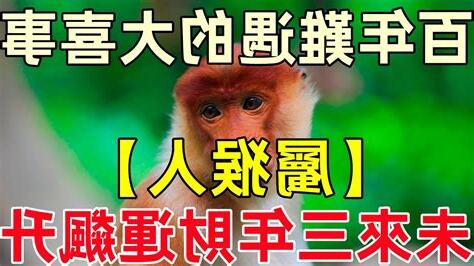 屬猴的貴人