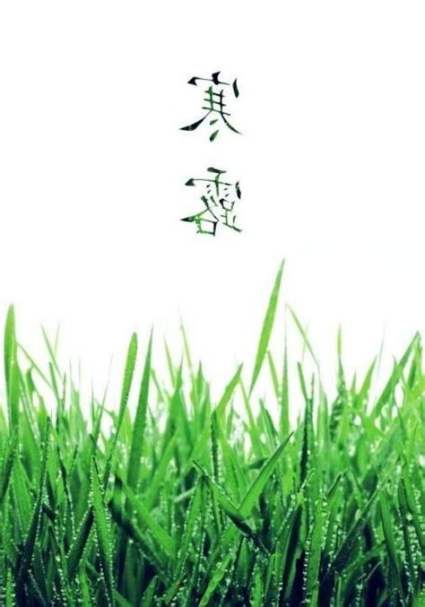 芷若意思