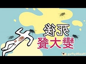 狗狗死後身體變化