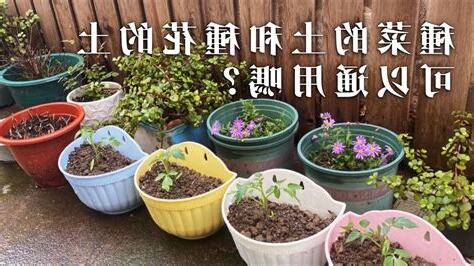 種菜的土