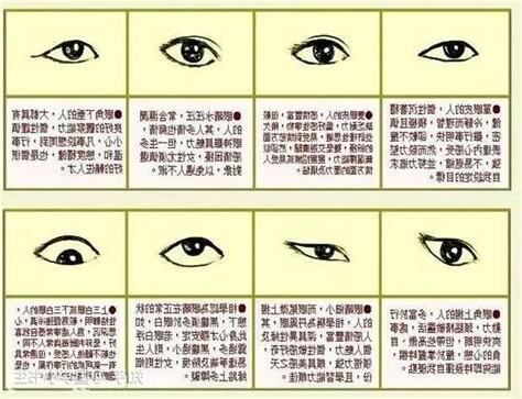 眼睛面向