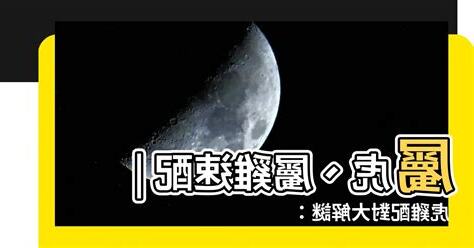 屬雞跟屬虎