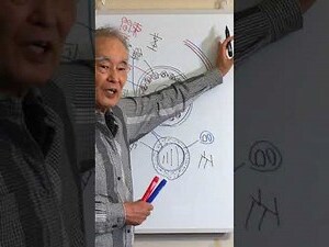 樹的用途
