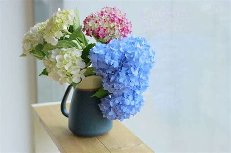 繡球花花語