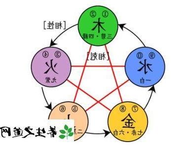 五行生肖配對