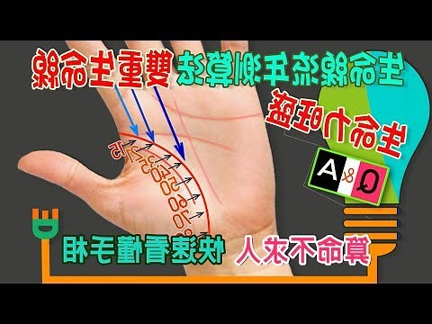 2條生命線