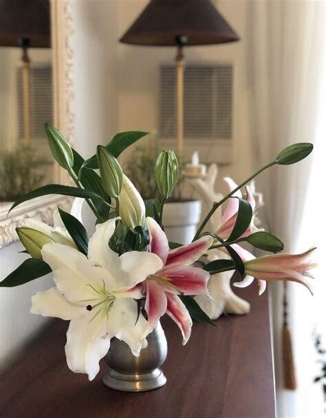 百合風水