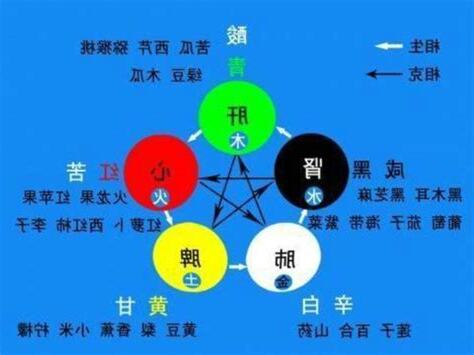 五常五戒五行