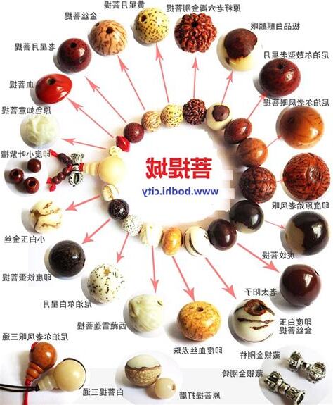 白玉菩提子功效