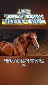 屬馬坐南朝北