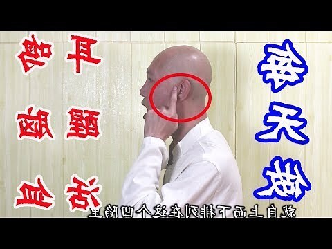 左耳養