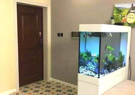 進門見魚缸