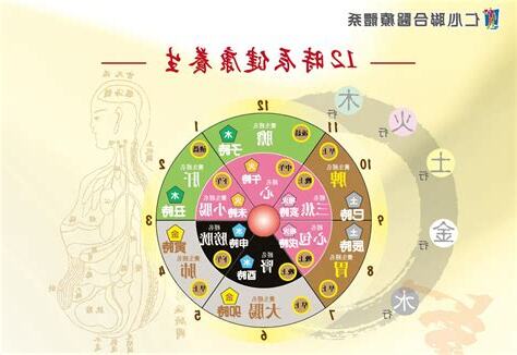 十二時辰養生對照表